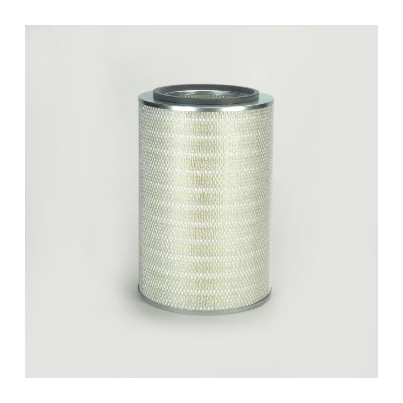 Filtre à air DONALDSON P778613