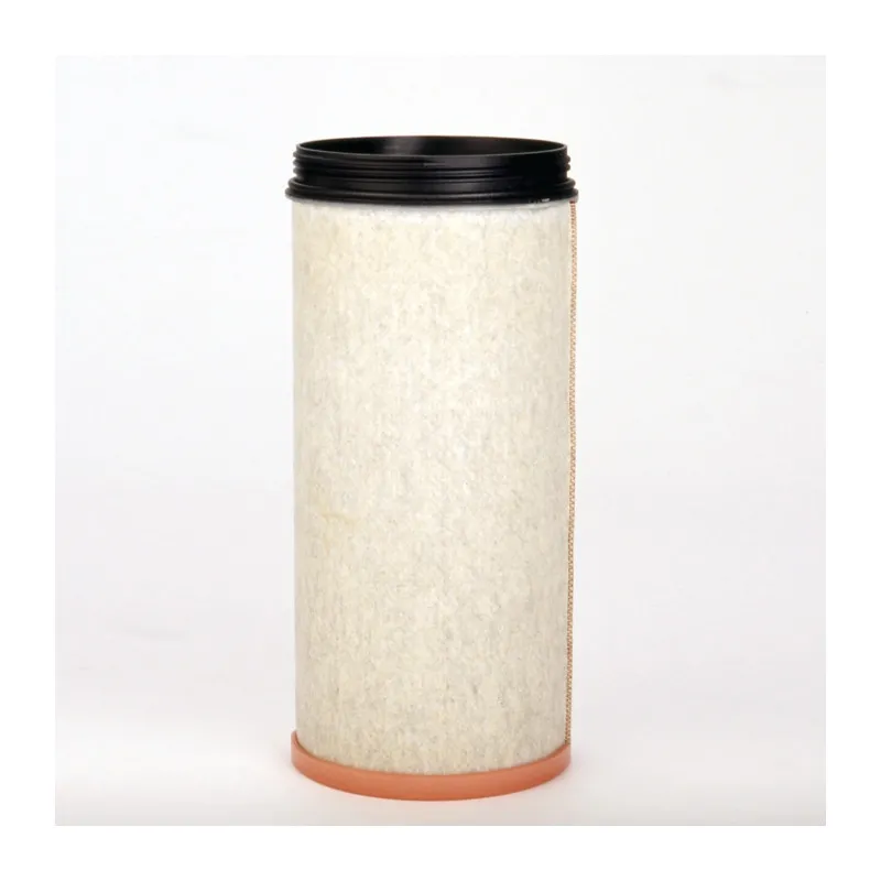 Filtre à air secondaire DONALDSON P605552