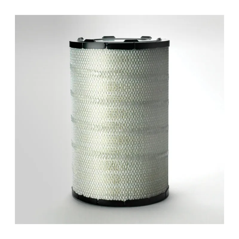 Filtre à air DONALDSON P777579