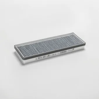 Filtre à air DONALDSON