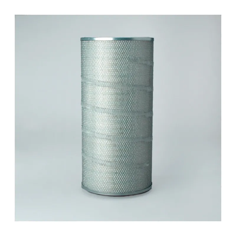 Filtre à air DONALDSON P778436