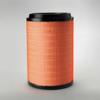 Filtre à air DONALDSON