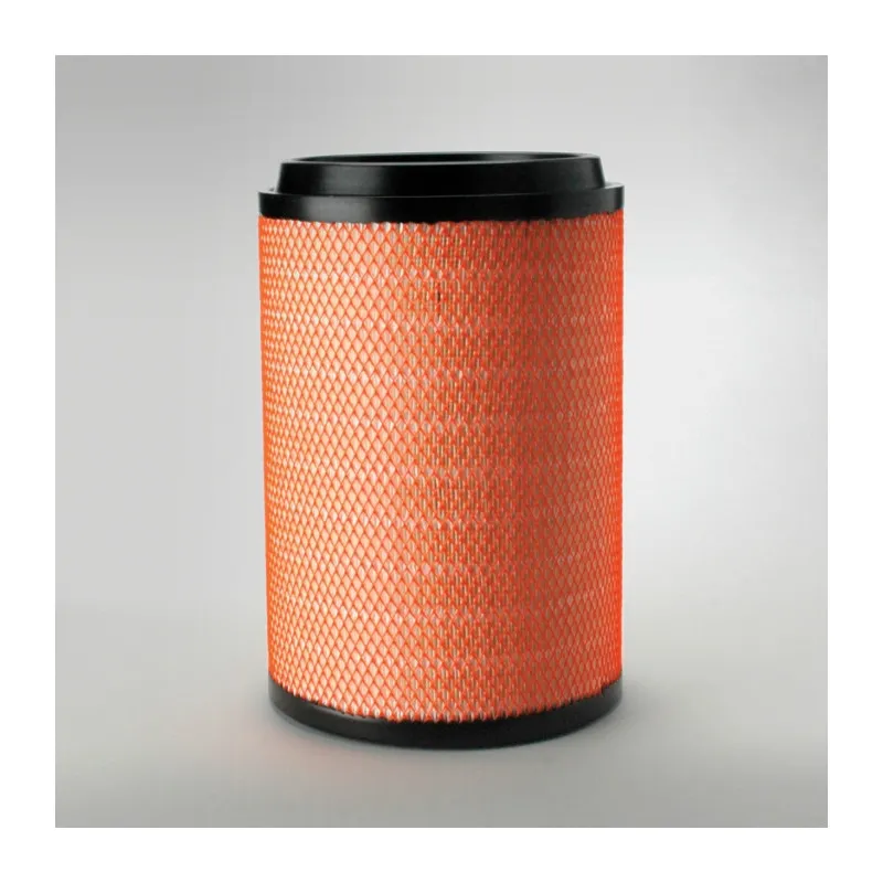 Filtre à air DONALDSON P781740