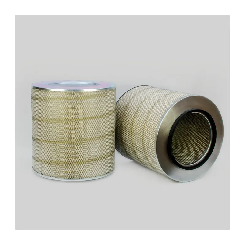 Filtre à air DONALDSON P778605