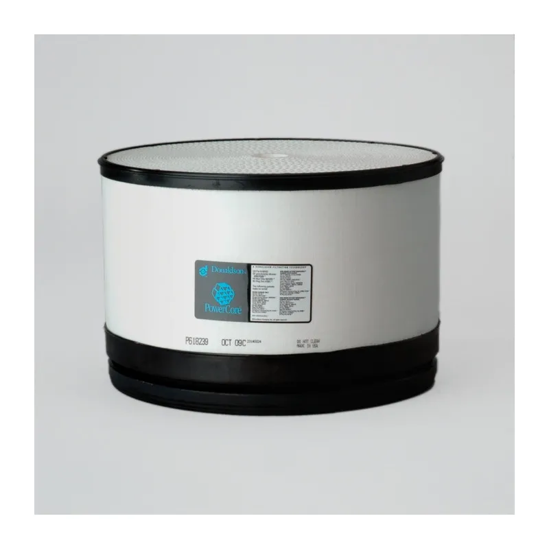 Filtre à air DONALDSON P618239