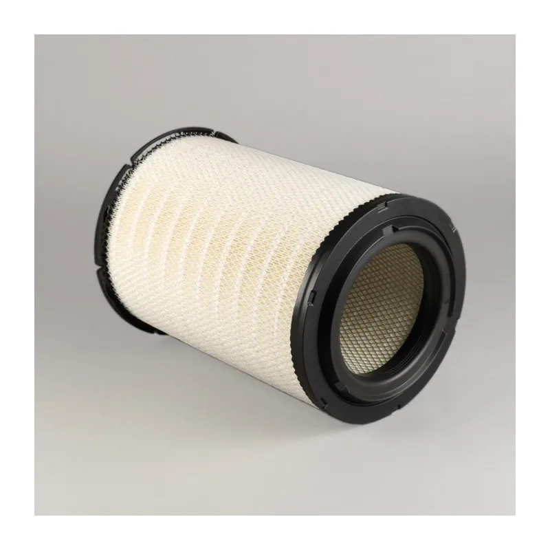 Filtre à air DONALDSON P787610