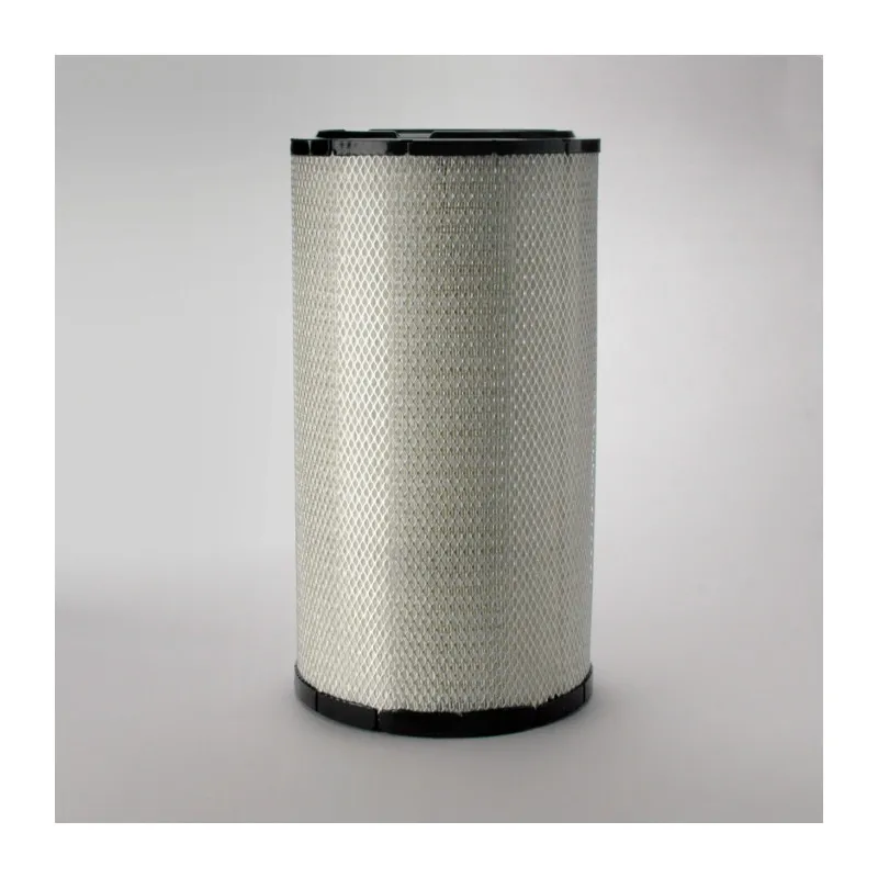 Filtre à air DONALDSON P777871