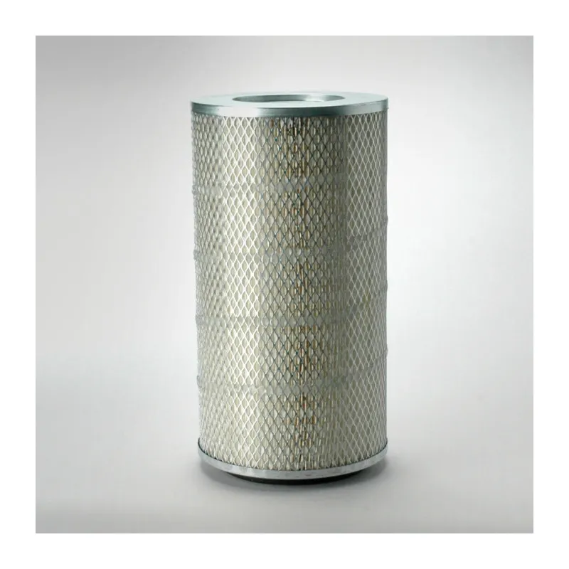 Filtre à air DONALDSON P771561