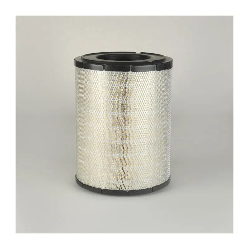 Filtre à air DONALDSON P534435