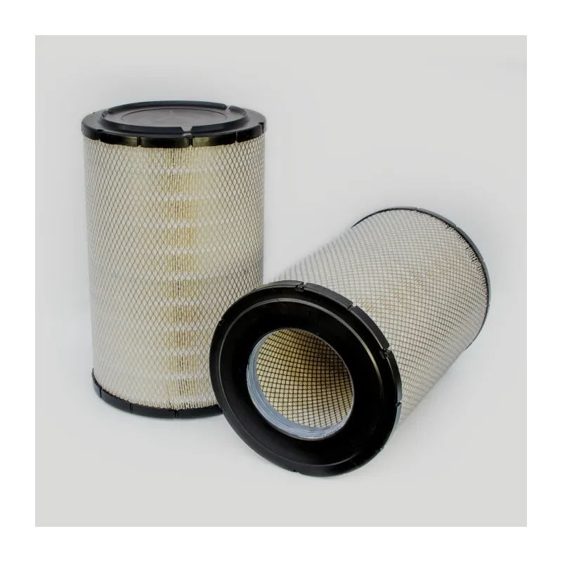 Filtre à air DONALDSON P619046