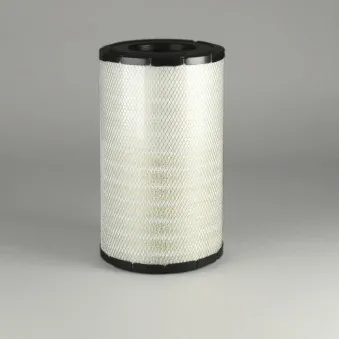 Filtre à air DONALDSON