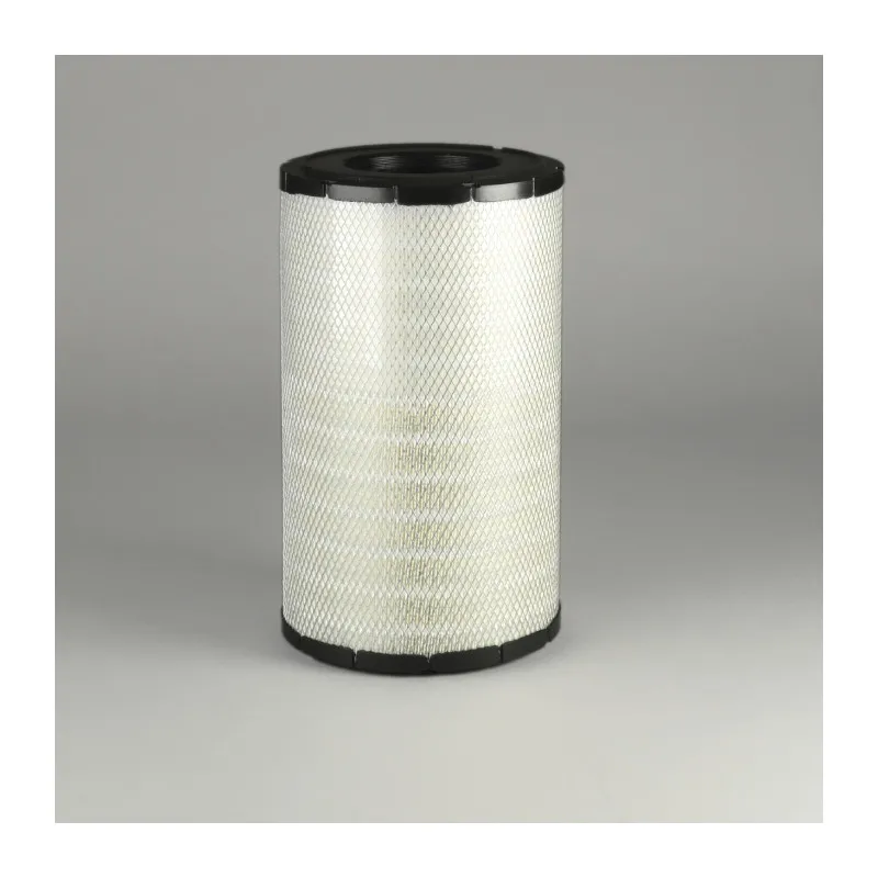 Filtre à air DONALDSON P788696