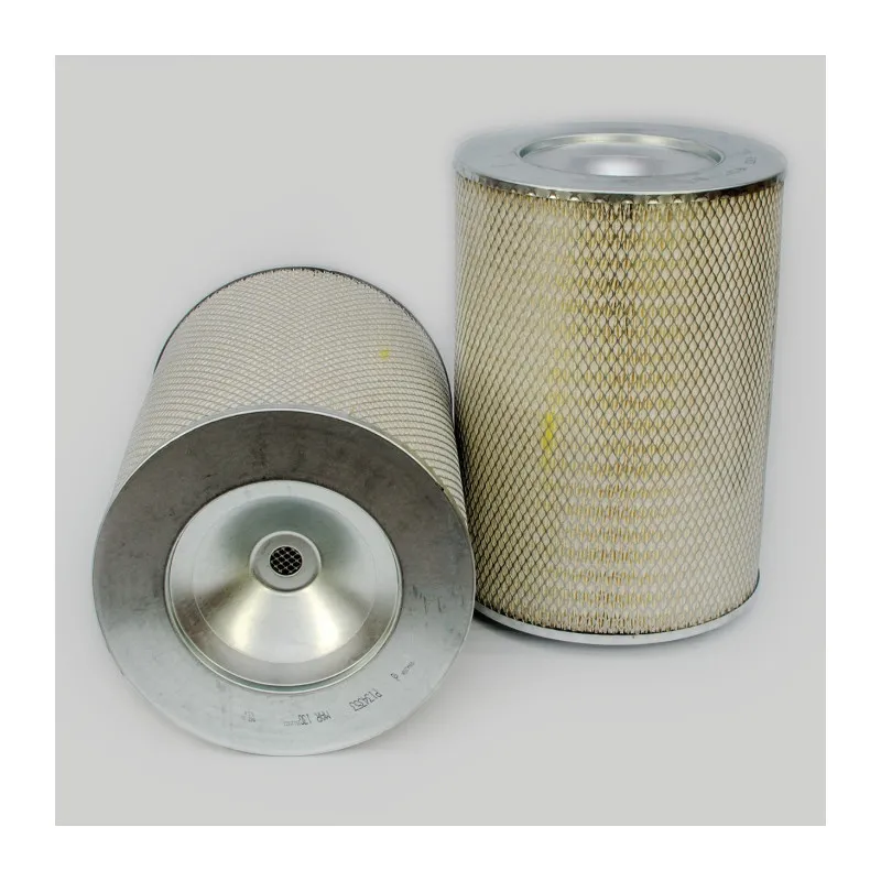 Filtre à air DONALDSON P134353