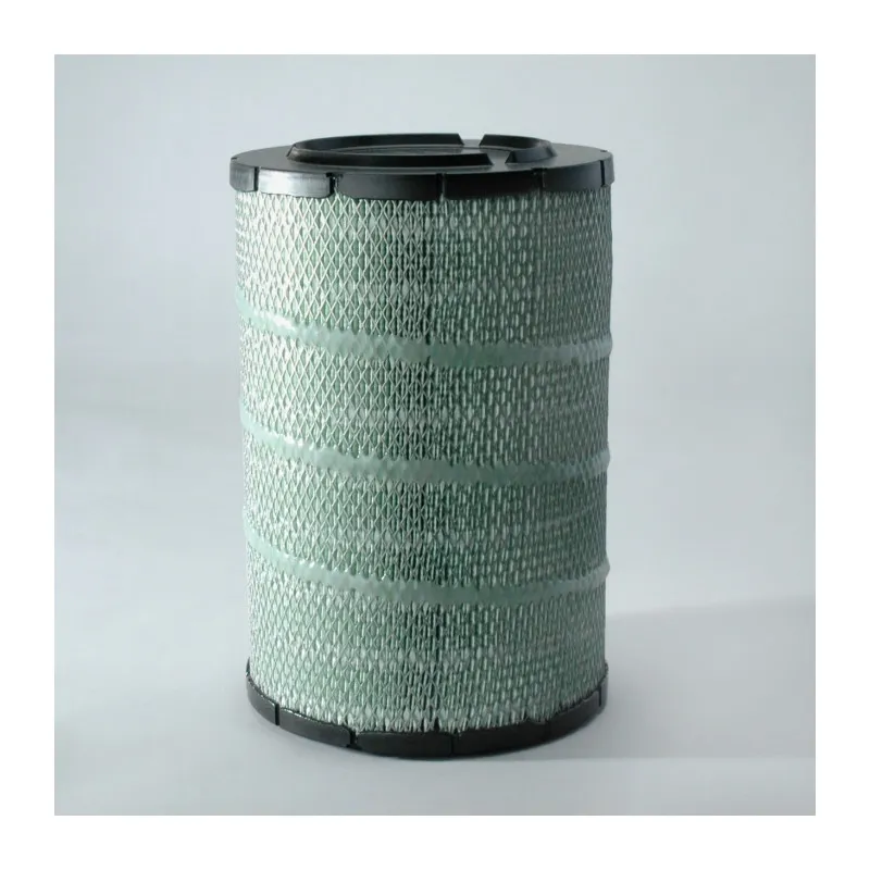 Filtre à air DONALDSON P786892