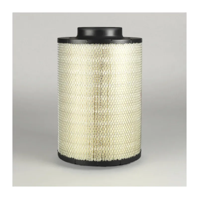 Filtre à air DONALDSON B105036