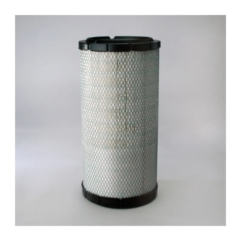 Filtre à air DONALDSON P783870