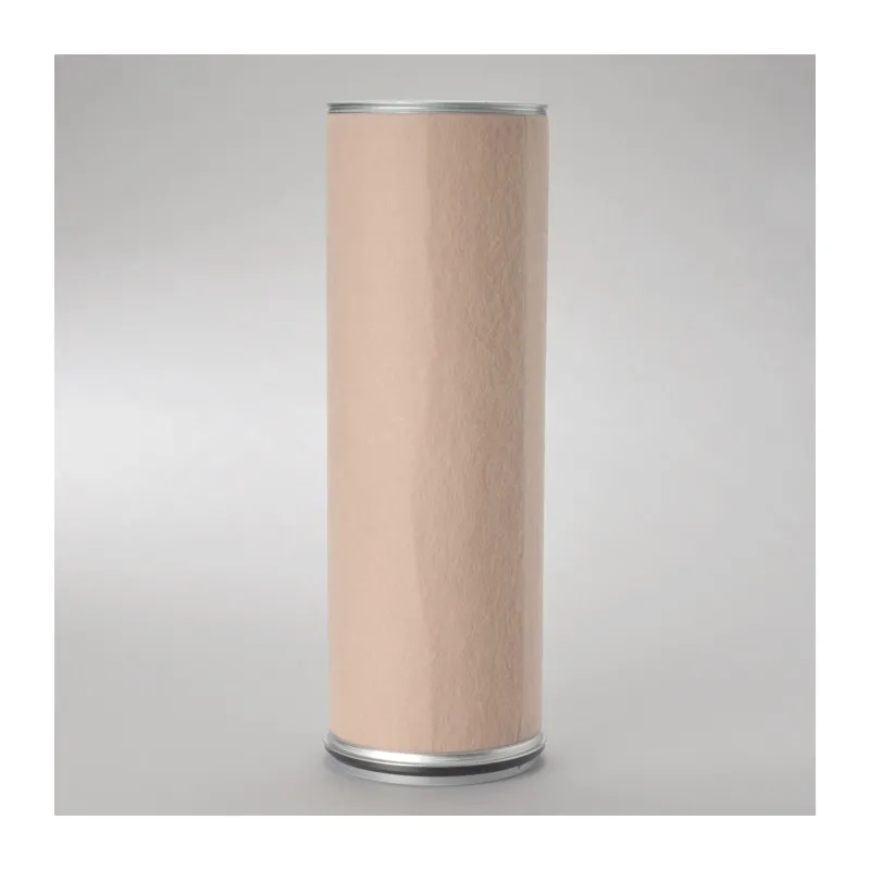 Filtre à air secondaire DONALDSON P781351