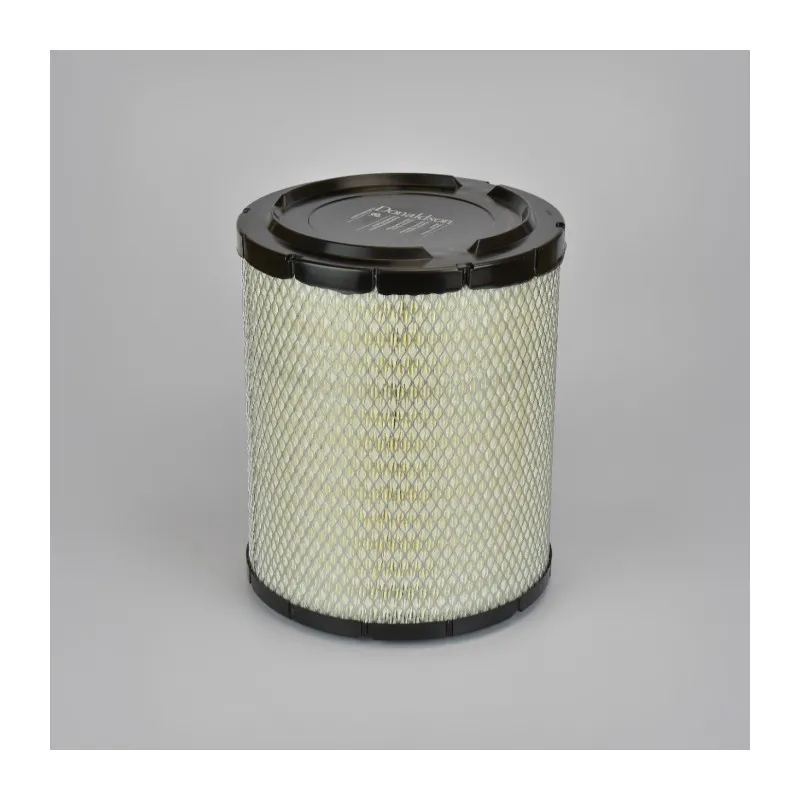 Filtre à air DONALDSON P635335