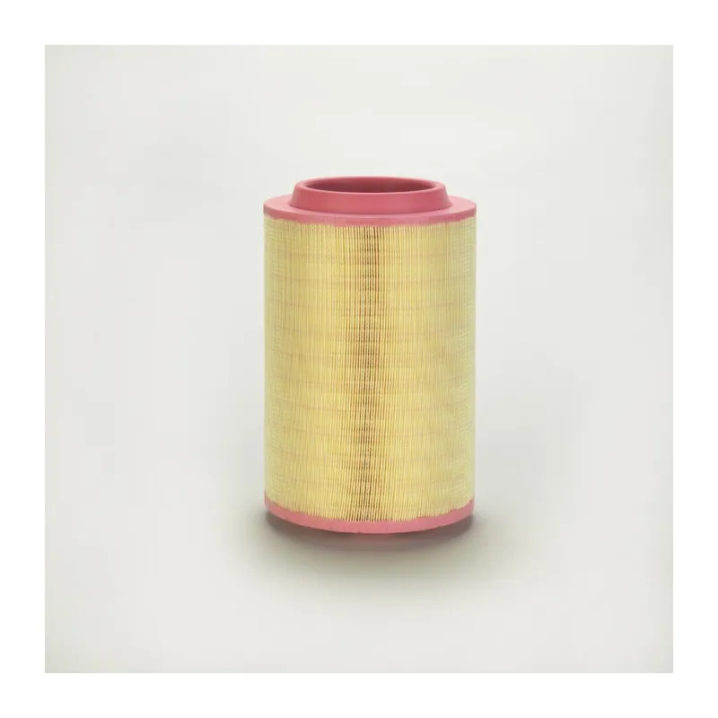 Filtre à air DONALDSON P782880