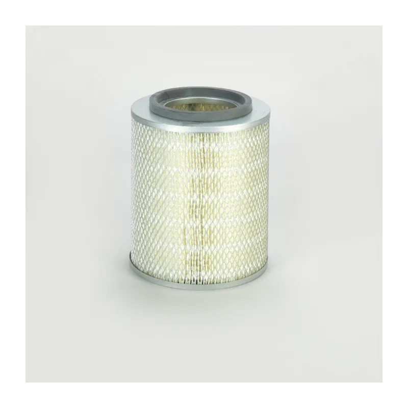 Filtre à air DONALDSON P771576