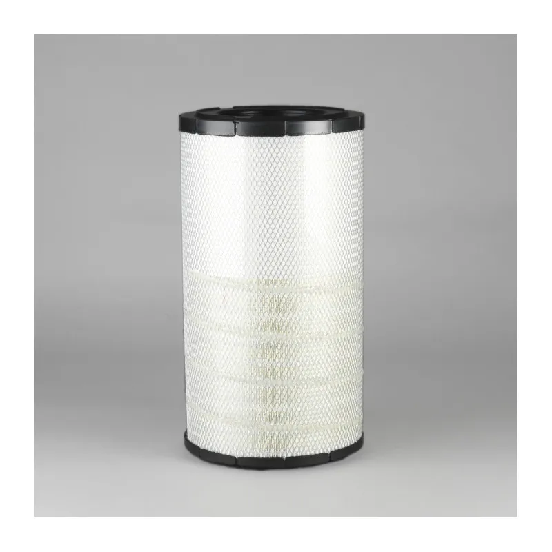 Filtre à air DONALDSON P778674