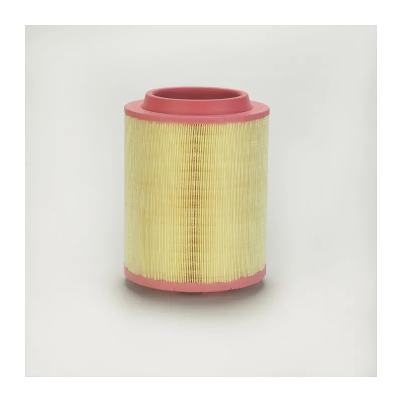 Filtre à air DONALDSON P782881