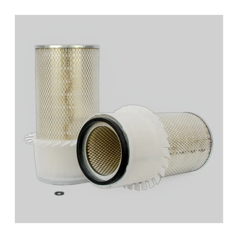 Filtre à air DONALDSON P182064