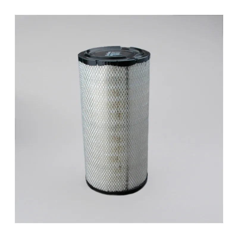 Filtre à air DONALDSON P532966