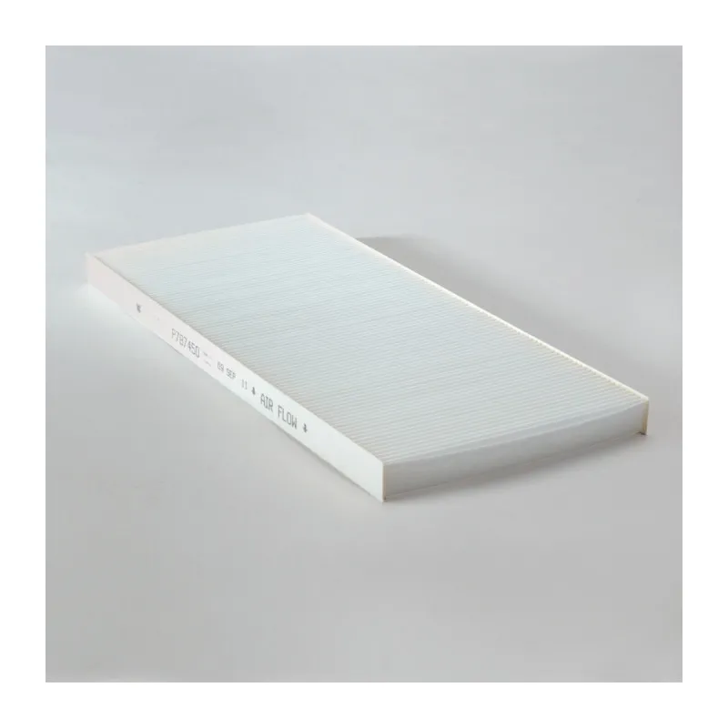 Filtre à air DONALDSON P787450