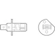 Ampoule, projecteur longue portée VALEO 032003 - Visuel 2