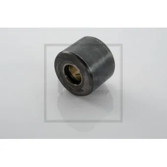 Poulie mâchoire de frein PE Automotive