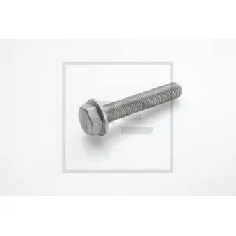 Vis, disque de frein PE Automotive