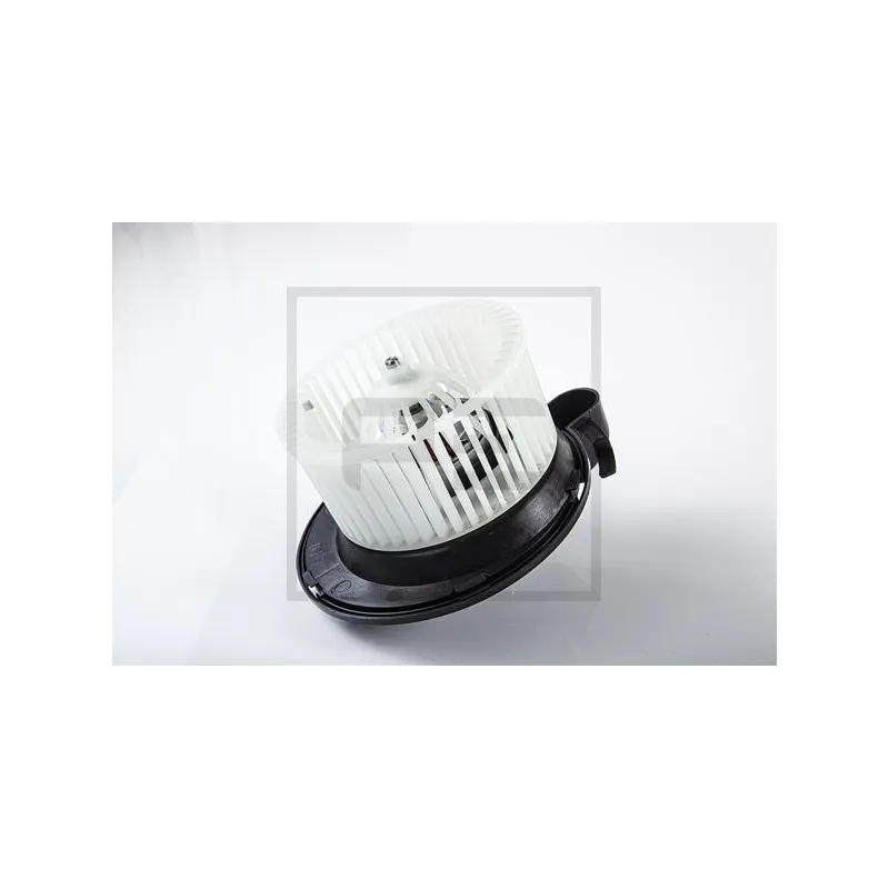 Pulseur d'air habitacle PE Automotive 019.103-00A