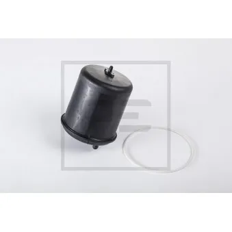 Filtre à huile PE Automotive 089.087-00A