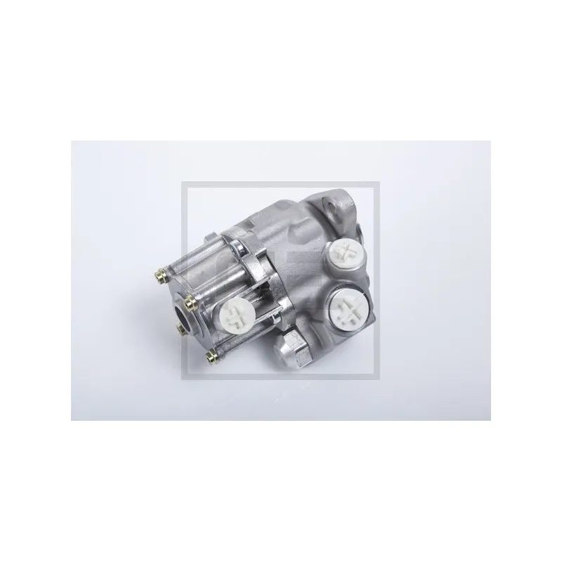 Pompe hydraulique, direction PE Automotive 012.504-00A