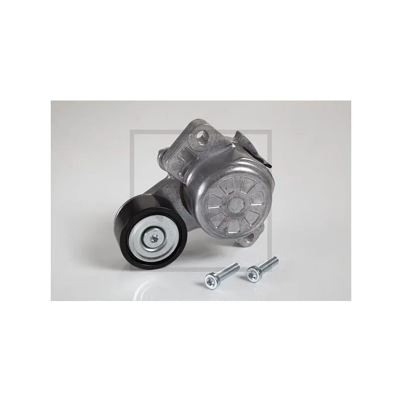 Tendeur de courroie, courroie trapézoïdale à nervures PE Automotive 010.863-00A