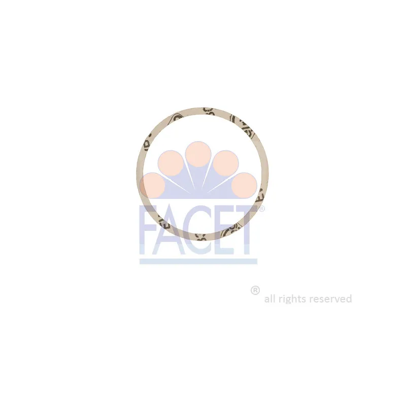 Joint d'étanchéité, thermostat FACET 7.9746