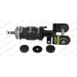 Amortisseur, suspension de la cabine MONROE CB0118 - Visuel 1