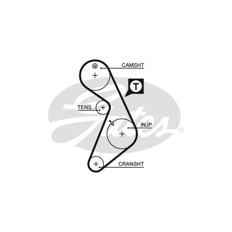 Courroie crantée GATES 5395