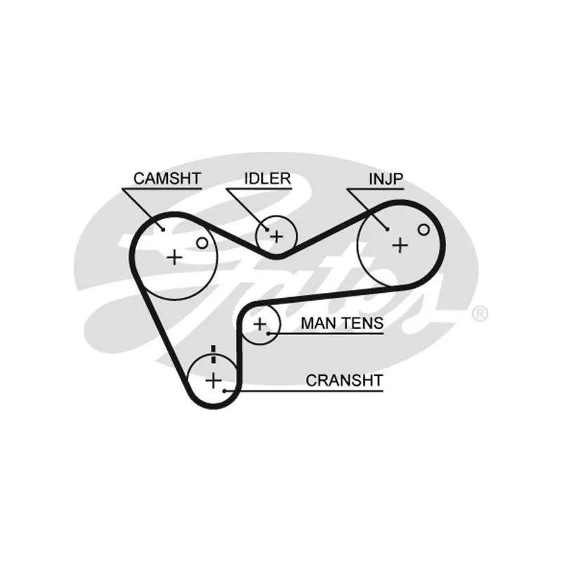 Courroie crantée GATES 5306