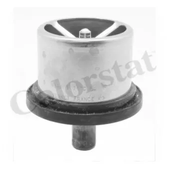 Thermostat, liquide de refroidissement CALORSTAT BY VERNET