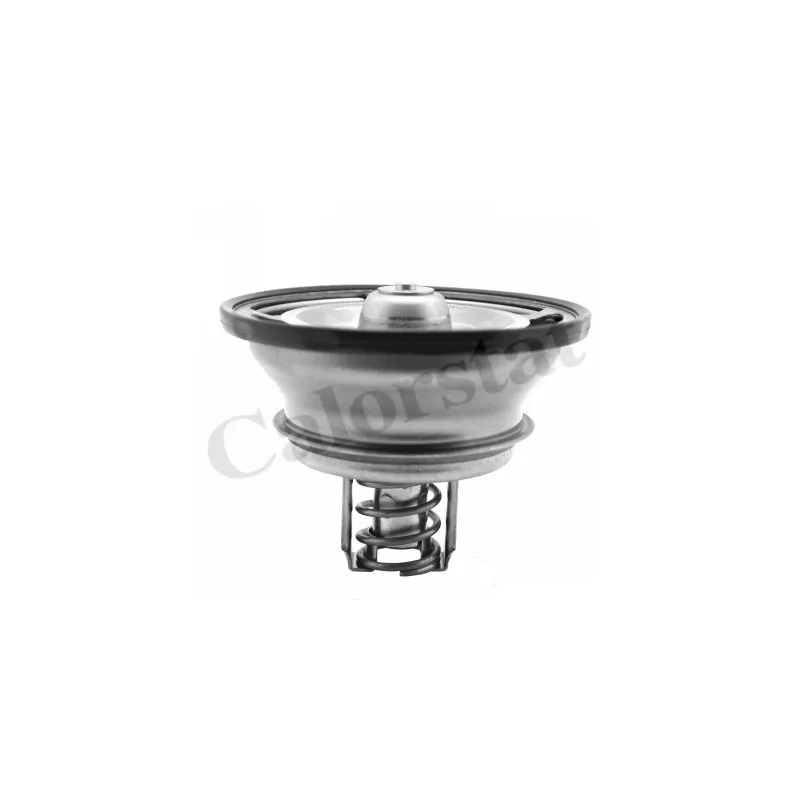 Thermostat, liquide de refroidissement CALORSTAT BY VERNET THS18201.76