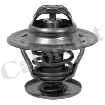 Thermostat, liquide de refroidissement CALORSTAT BY VERNET