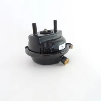 Cylindre de frein à diaphragme HALDEX