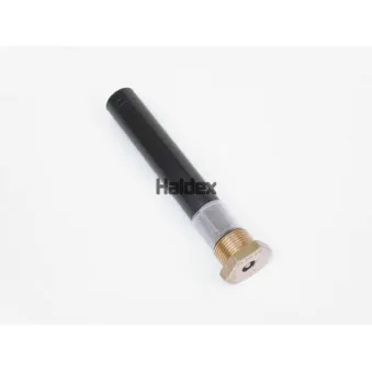 Valve de purge HALDEX