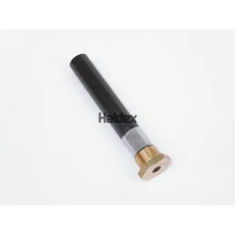 Valve de purge HALDEX