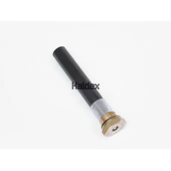 Valve de purge HALDEX