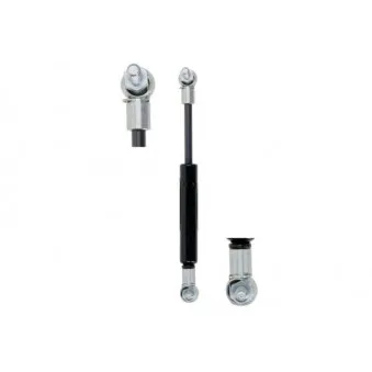 Vérin MAGNUM TECHNOLOGY MGS060MT