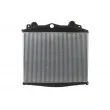 Intercooler, échangeur THERMOTEC DAMA006TT - Visuel 2