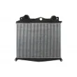 Intercooler, échangeur THERMOTEC DAMA006TT - Visuel 1